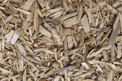 biomass boilers Haresfinch
